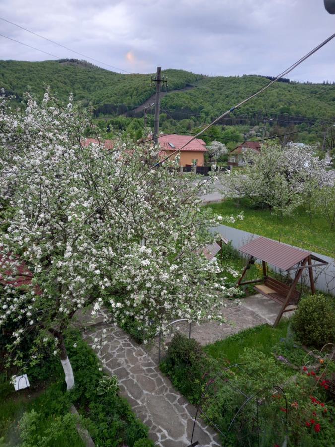 Лаванда Iaremcea Exterior foto