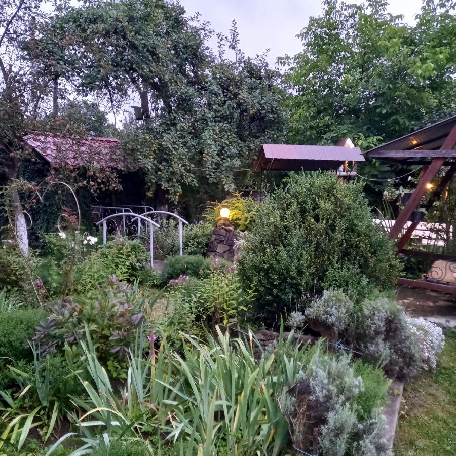 Лаванда Iaremcea Exterior foto