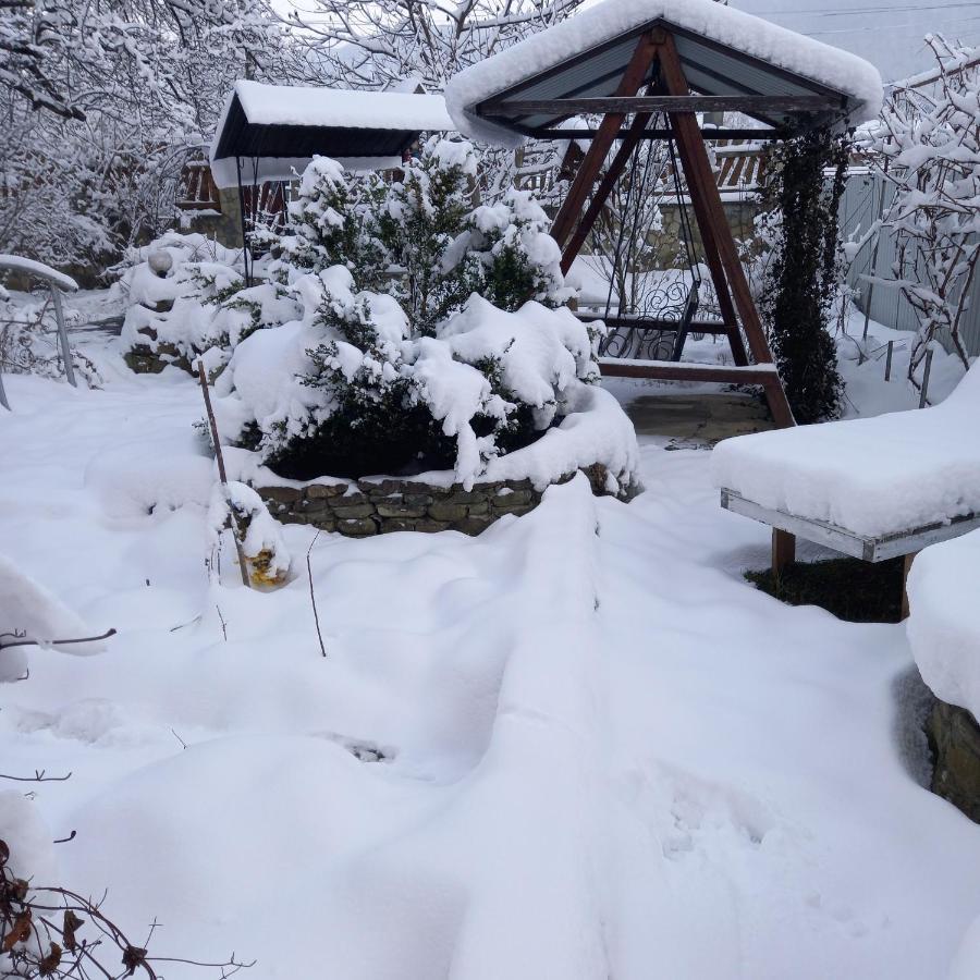 Лаванда Iaremcea Exterior foto