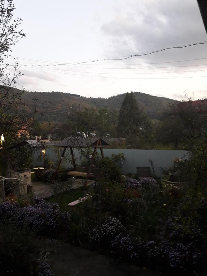 Лаванда Iaremcea Exterior foto