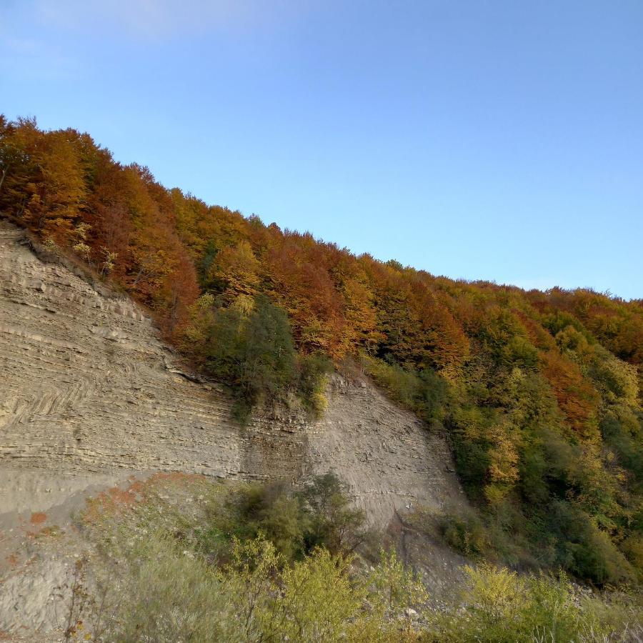 Лаванда Iaremcea Exterior foto