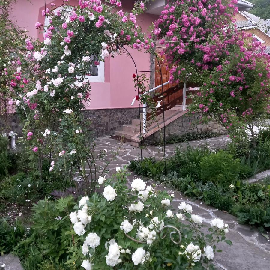 Лаванда Iaremcea Exterior foto