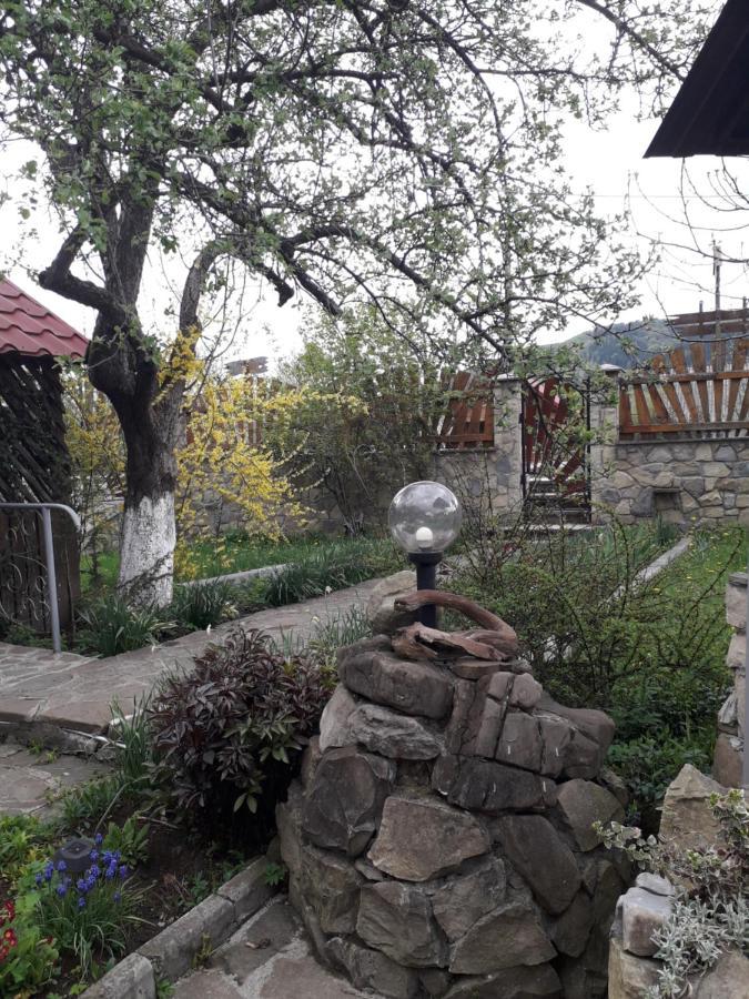 Лаванда Iaremcea Exterior foto